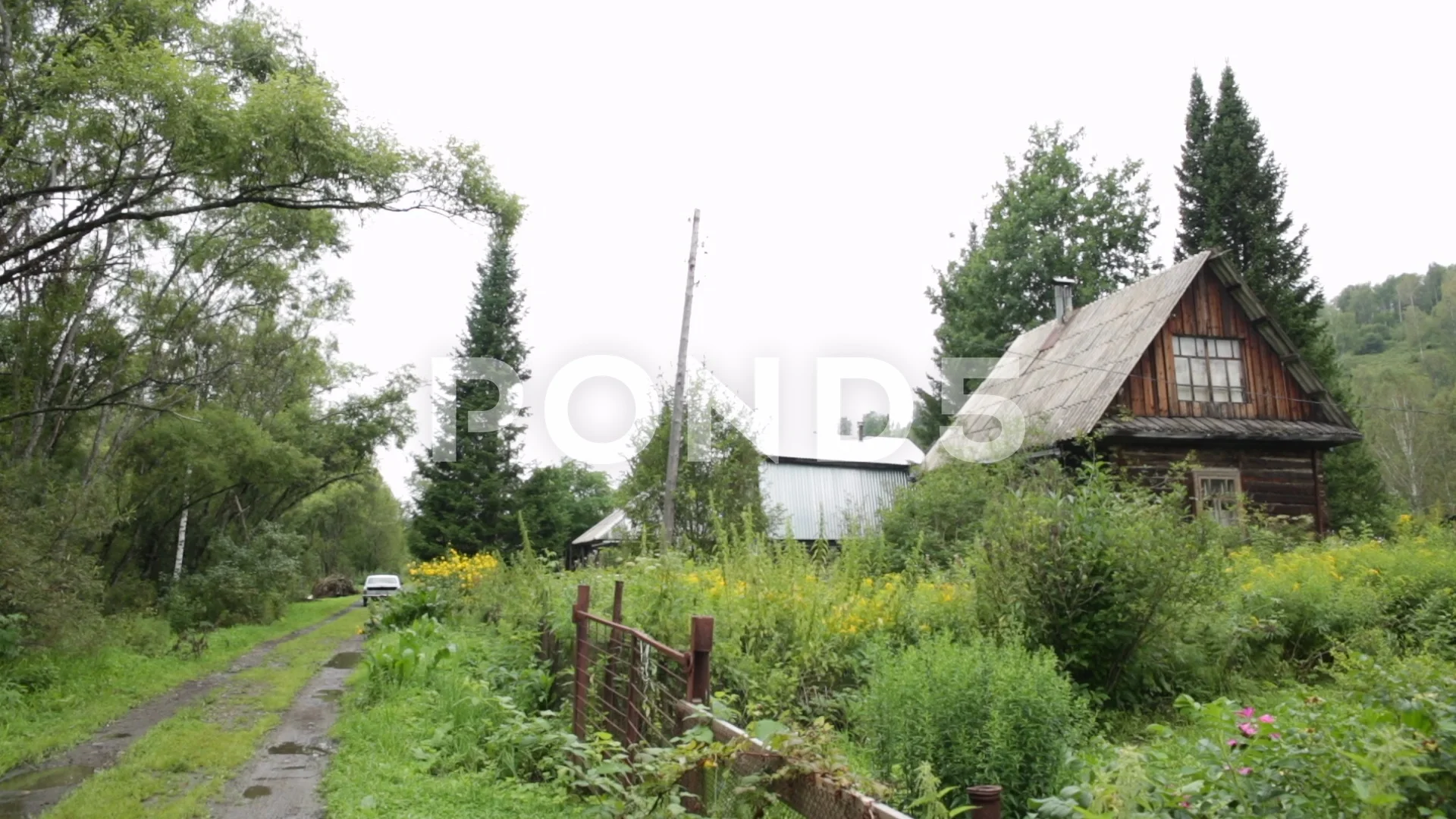 Russian forests and homes Freepik