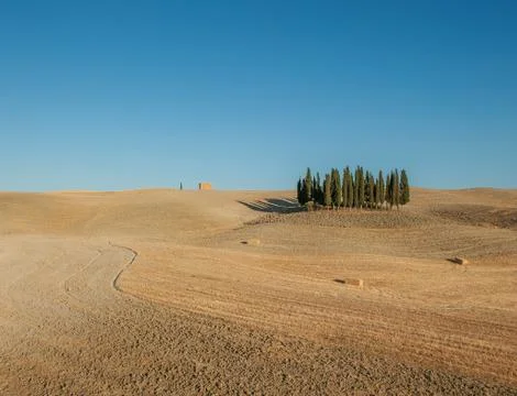 Typical tuscan landscape Stock Photos