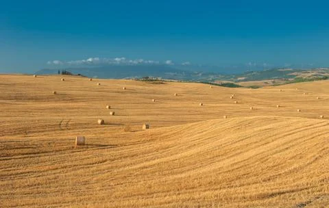 Typical tuscan landscape Stock Photos