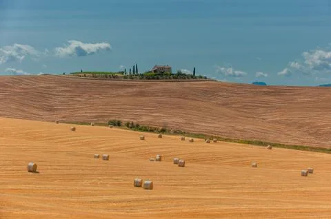 Typical tuscan landscape Stock Photos