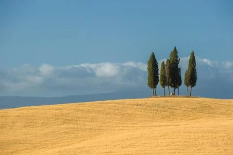 Typical tuscan landscape Stock Photos