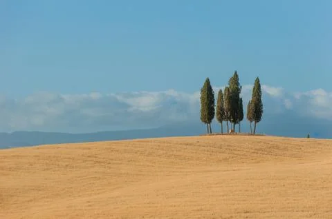 Typical tuscan landscape Stock Photos