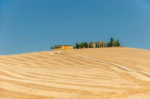 Typical tuscan landscape Stock Photos