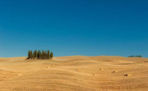 Typical tuscan landscape Stock Photos
