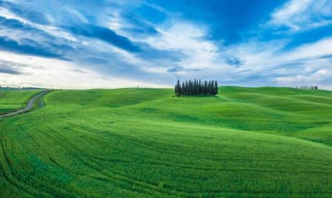 Typical tuscan landscape Stock Photos