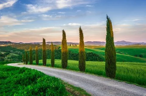 Typical tuscan landscape Stock Photos