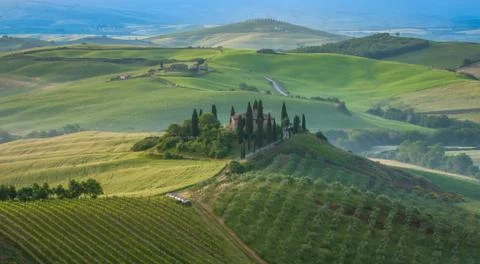 Typical tuscan landscape Stock Photos
