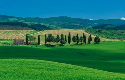 Typical tuscan landscape Foto stock