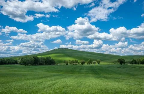 Typical tuscan landscape Stock Photos