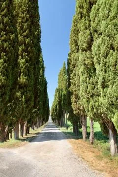 Typical tuscan landscape Stock Photos