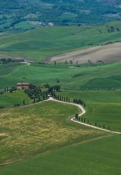 Typical tuscan landscape Stock Photos