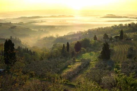 Typical Tuscan landscape Stock-Fotos