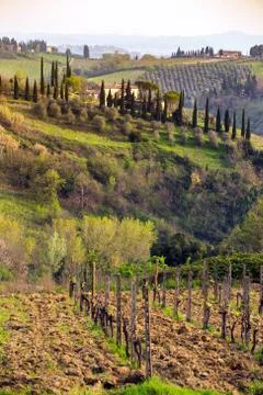 Typical Tuscan landscape Stock Photos