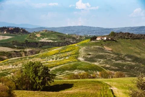 Typical Tuscan landscape Stock-Fotos