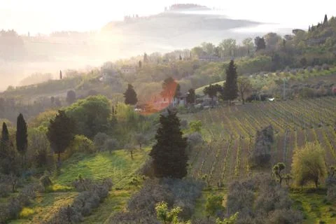 Typical Tuscan landscape Foto stock