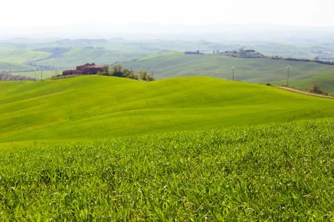 Typical Tuscan landscape Foto stock