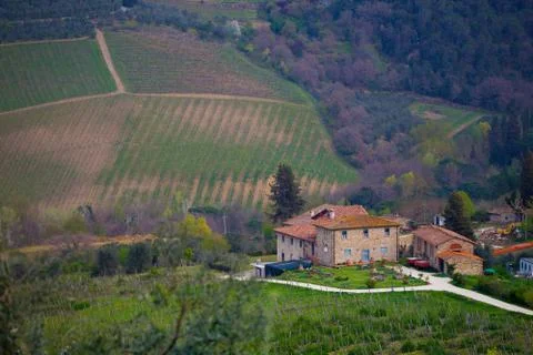 Typical Tuscan landscape Foto stock