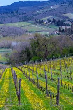 Typical Tuscan landscape Stock Photos