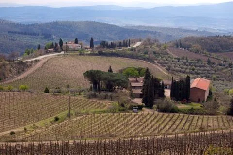 Typical Tuscan landscape Foto stock