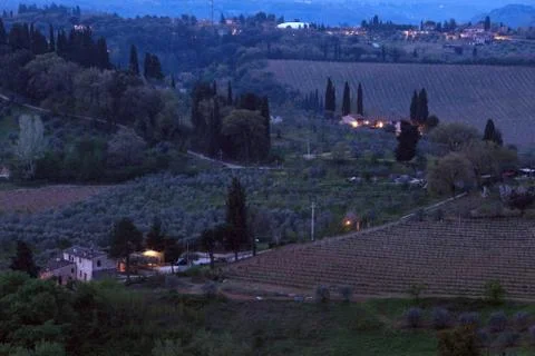Typical Tuscan landscape Foto stock