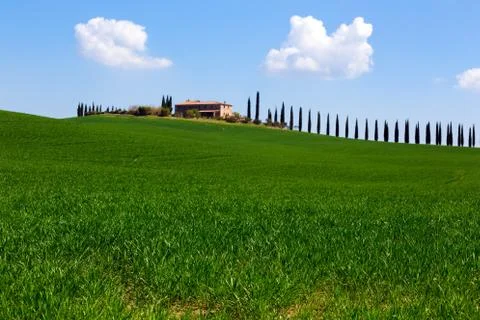 Typical Tuscan landscape Stock Photos