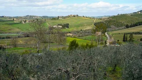 Typical Tuscan scenery with wineries, olive trees, and rolling hills Stock Photos
