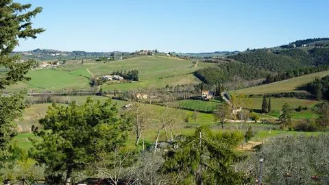 Typical Tuscan scenery with wineries, olive trees, and rolling hills Stock Photos