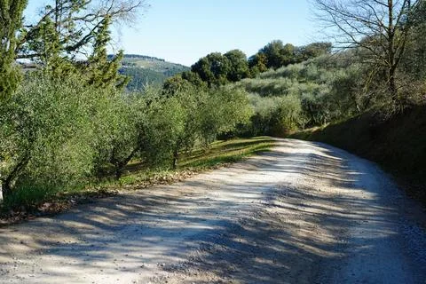 Typical Tuscan scenery with wineries, olive trees, and rolling hills Stock Photos