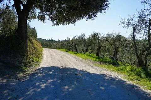 Typical Tuscan scenery with wineries, olive trees, and rolling hills Stock Photos