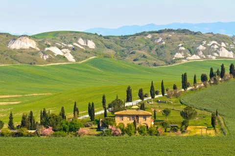 Typical tuscany landscape view Stock Photos