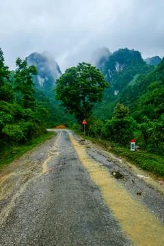 Typical Vietnamese landscape in spring with rice fields Stock Photos