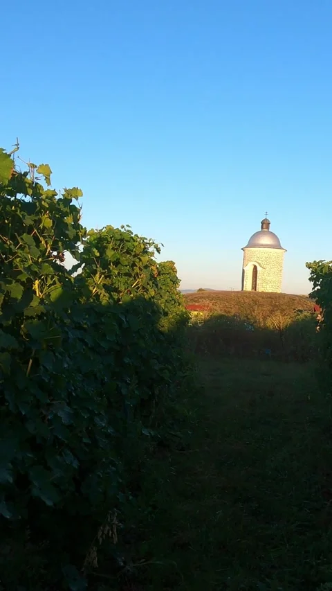 Typical view on countryside in Morava region near Mikulov Stock Footage 270530291