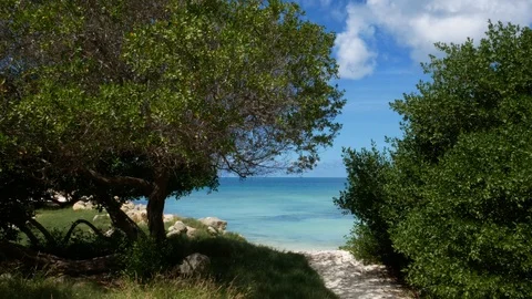 Typical view of turquoise waters of a beach in Aruba during sunny day. Stock-Footage 121476948