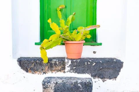 Typical white house with cactus in pot, Lanzarote, Canary Islands, Spain Stock Photos