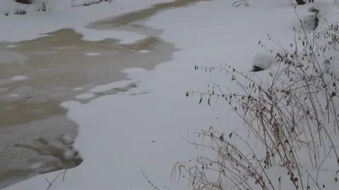 Typical winter landscape with unfrozen stream Stock Footage 100723302