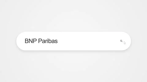 Typing BNP Paribas On Search Engine - Computer Screen Stock Footage 341051013
