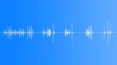 Typing Computer EntriesSound Effect