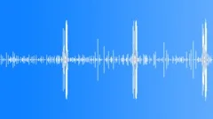 Typing on Computer loop Sound Effect