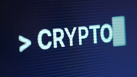 Typing Crypto Into Terminal Stockbeeldmateriaal 175382618