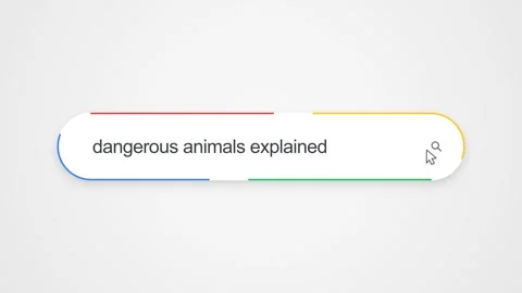 Typing Dangerous Animals Explained in Search Bar - Close Up Technology Concept Stock Footage 343808873