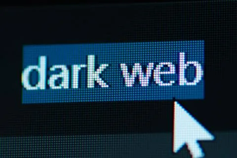 Typing dark web into address bar search screen animation Stock-Fotos