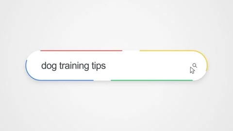 Typing Dog Training Tips in Search Bar - Close Up Pet Care Research Concept Stock Footage 343875101