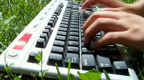 Typing Stock Footage 458477