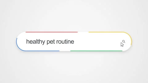 Typing Healthy Pet Routine in Search Bar - Close Up Pet Care Research Concept Stock Footage 343869091