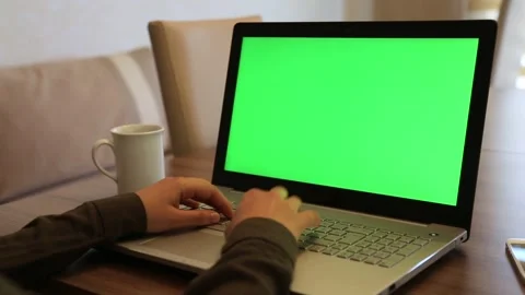 Typing On Laptop Green Screen Vidéo 338122578