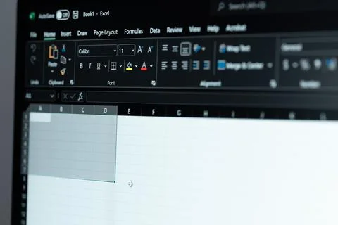 Typing in Microsoft excel Foto stock