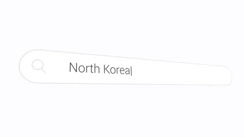 Typing North Korea In The Computer Browser - Close Up Stock Footage 313873432