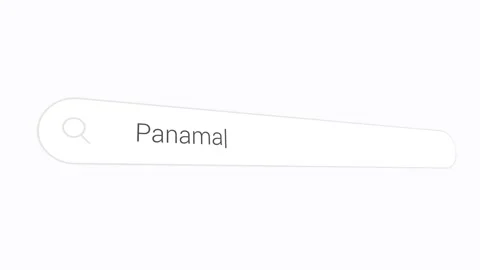 Typing Panama In Computer Browser - Close Up Stock Footage 313898117
