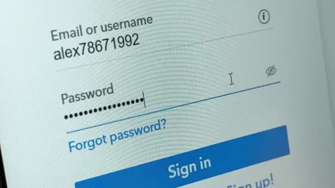 Typing password into online sign in form. Cursor enters login field on a di.. Stock Footage 334336540
