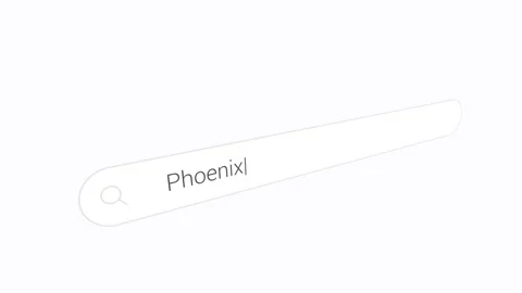 Typing Phoenix In Minimalist Search Bar Graphic. close-up shot Stock Footage 336026784